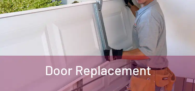  Door Replacement 