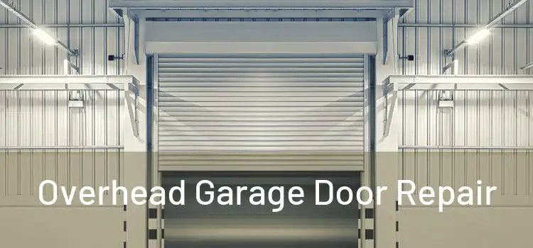  Overhead Garage Door Repair 